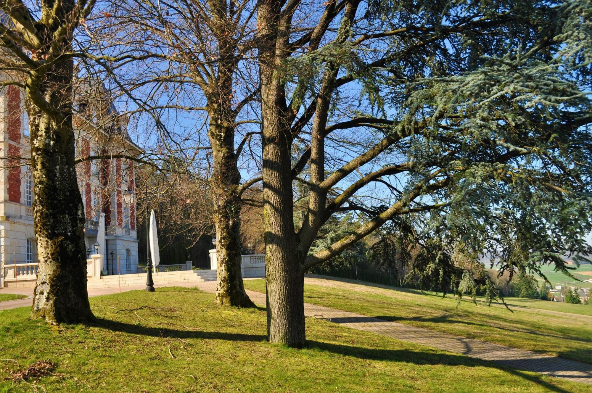 Domaine De Mont-Renaud Otel Boncourt Dış mekan fotoğraf